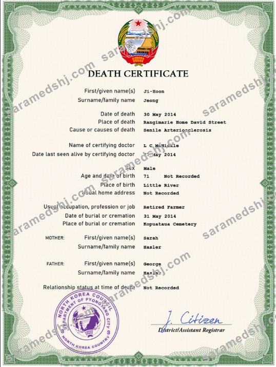 North Korea death certificate PSD template